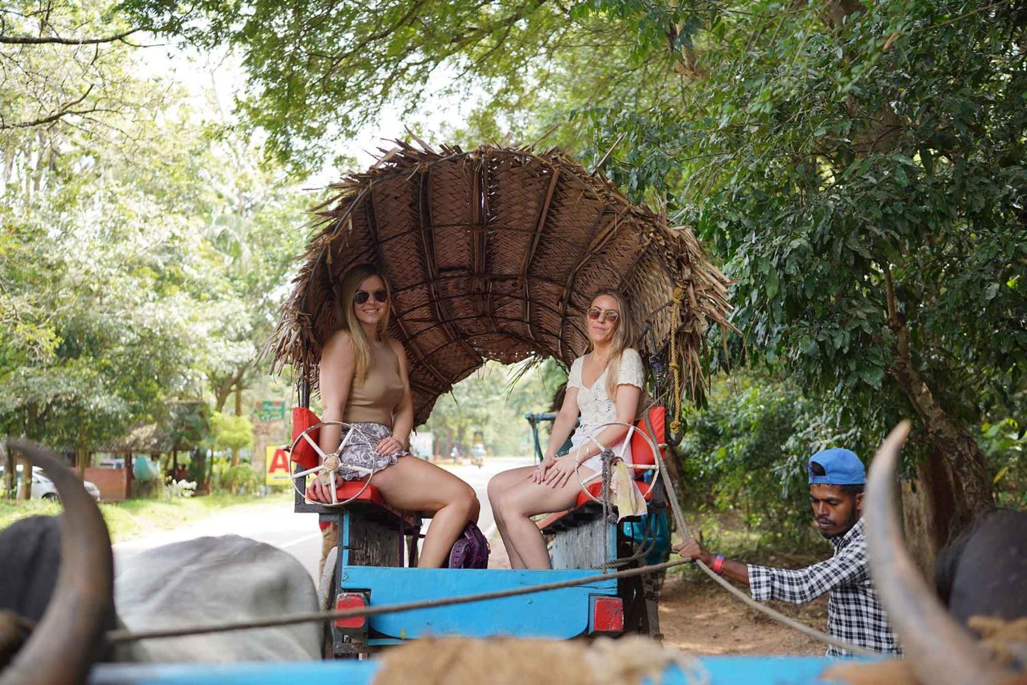 Sigiriya Kingdom Resort Дамбулла Екстер'єр фото