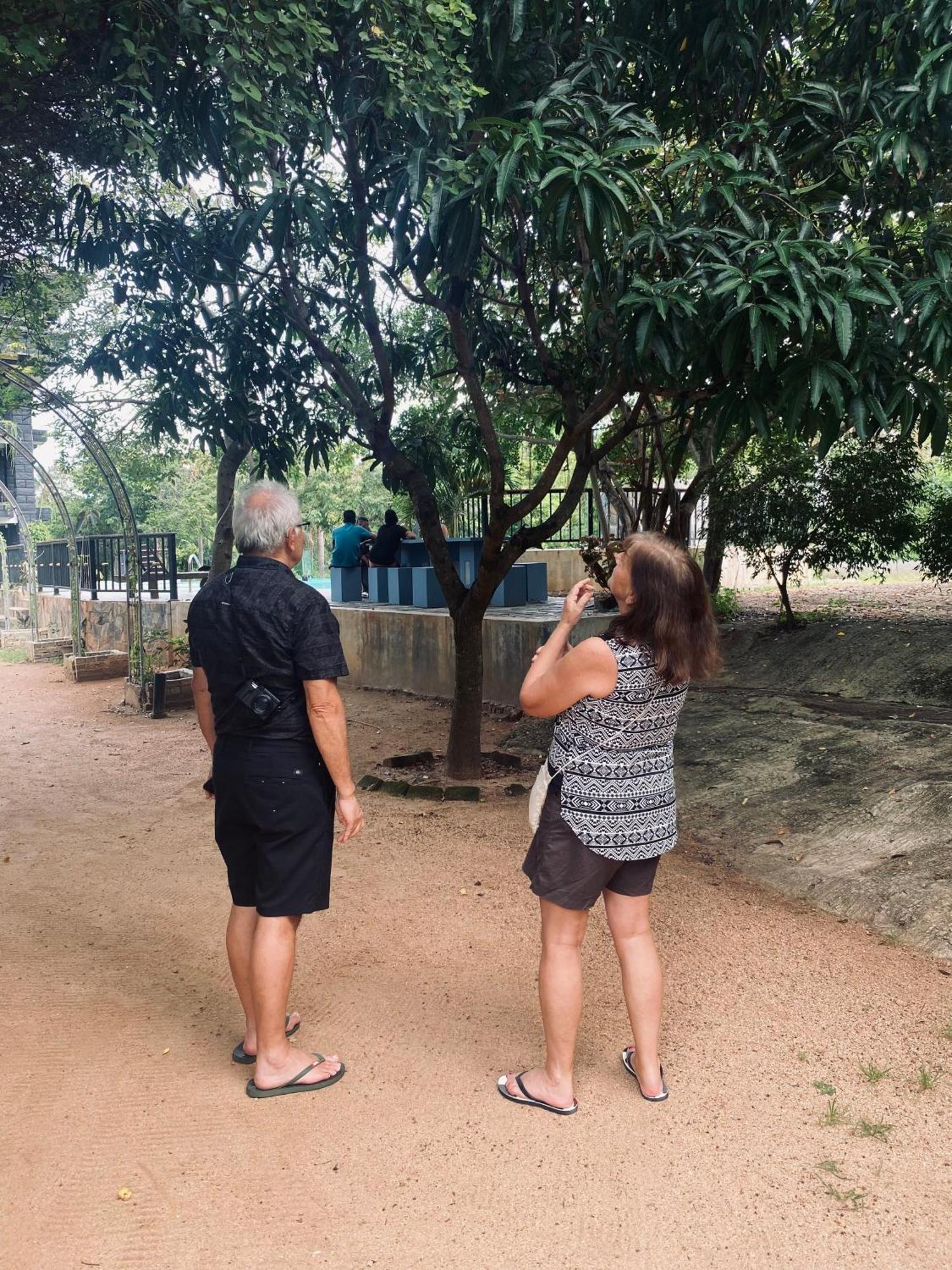 Sigiriya Kingdom Resort Дамбулла Екстер'єр фото